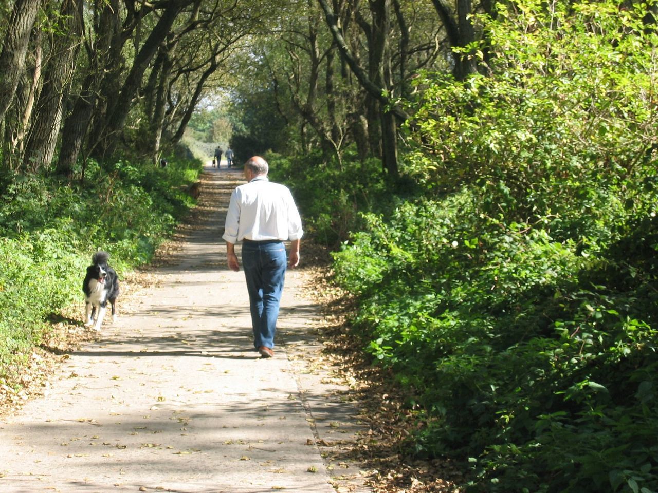 REAR VIEW OF PERSON WITH DOG WALKING ON FOOTPATH