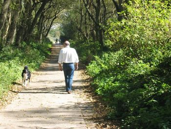 Rear view of person walking with dog on footpath