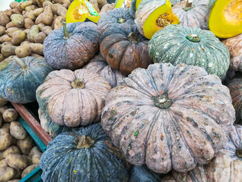 Full frame shot of pumpkins
