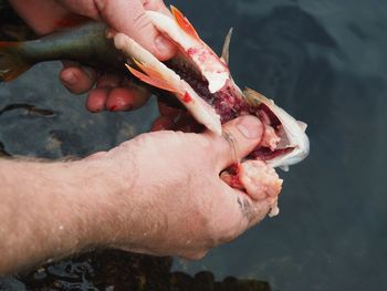Cropped hands of man holding fish over lake
