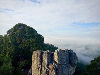 Panoramic view of rocks and trees against sky