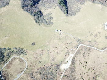 High angle view of road amidst field