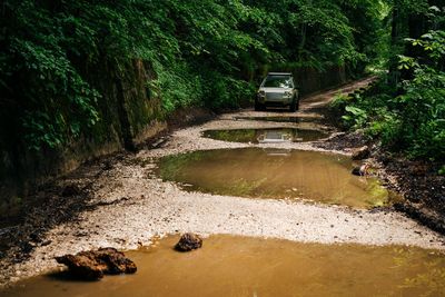 Puddles on forest road in summer. flood