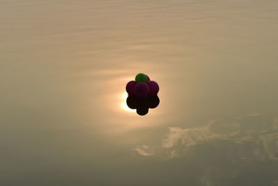 Low angle view of balloons against sky during sunset