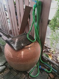 High angle view of potted plants in yard