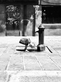 Side view of woman sitting on footpath