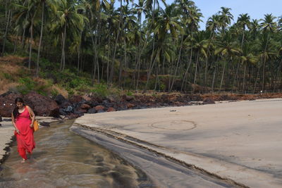 Rear view of woman walking by palm trees on land