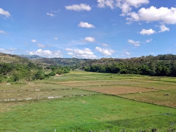 Scenic view of field against sky