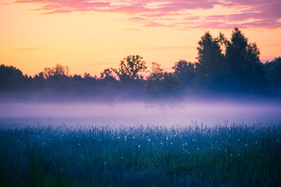 A beautiful spring morning in the northern europe rural area.