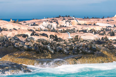 Panoramic view of beach against sky