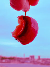 Close-up of strawberry on land against sky