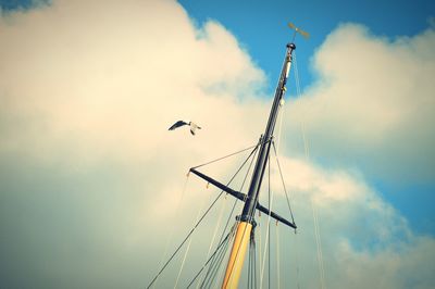 Low angle view of birds flying against sky