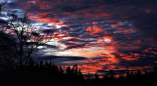 Low angle view of silhouette trees against cloudy sky