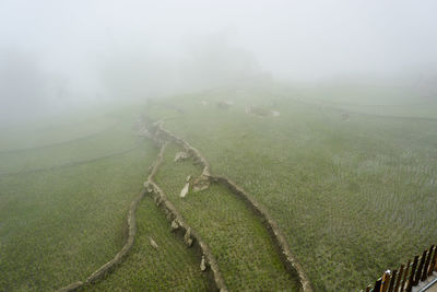 Scenic view of landscape during foggy weather