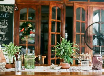 Potted plants on table at restaurant