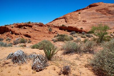 Scenic view of desert against sky