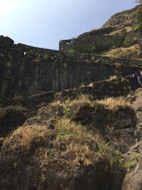 Plants growing on hill against clear sky