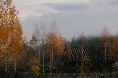 Scenic view of lake in forest during autumn