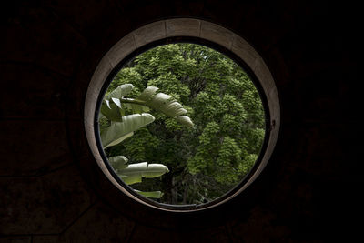 Rounded window