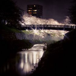 Reflection of illuminated buildings in water