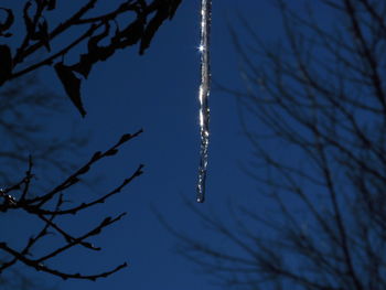 Low angle view of bare trees against sky