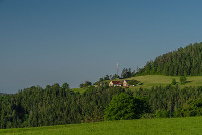 Scenic view of field against clear sky