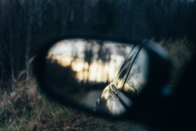 Close-up of side-view mirror