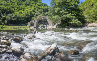 Scenic view of river flowing through rocks in forest