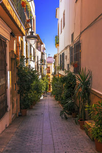 One of the many beautiful streets in javea old town, javea, alicante, spain.