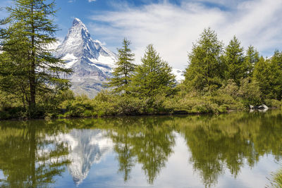 Reflection of trees in lake against sky