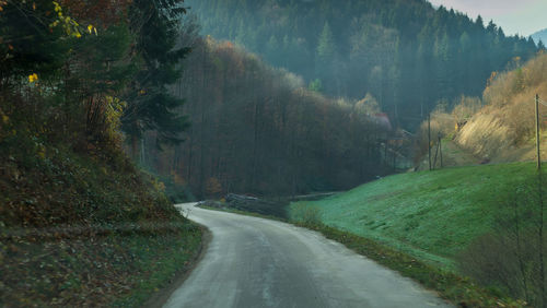 Road amidst trees in forest