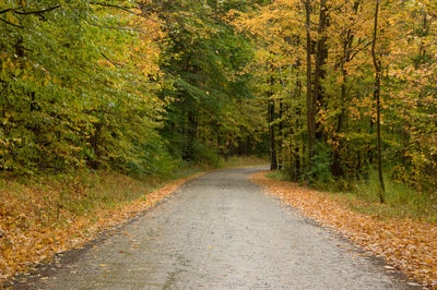 Road passing through forest