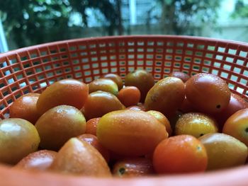 Close-up of eggs in container