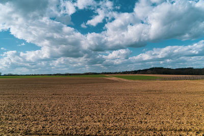 Scenic view of agricultural field against sky