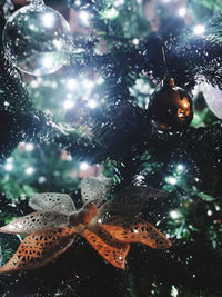 Close-up of illuminated christmas tree