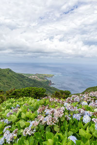 Scenic view of sea against cloudy sky