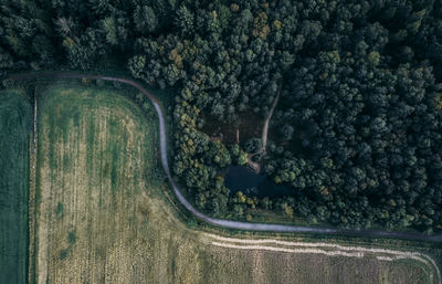 High angle view of road amidst trees