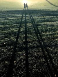 Shadow of man on grass