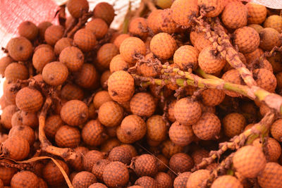 Rattan palm seed, rattan palm fruits has a yellow shell, soft focus.full frame shot of blueberries.