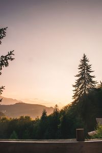 Silhouette trees by mountains against sky during sunset