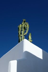 Low angle view of built structure against blue sky