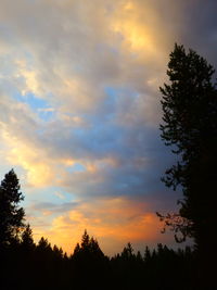 Low angle view of silhouette trees against sky at sunset