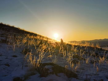Scenic view of snowcapped field against sky during sunset