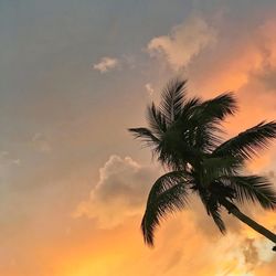 Low angle view of silhouette palm tree against romantic sky