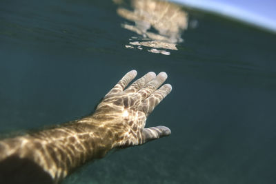 Unrecognizable person swimming under water person