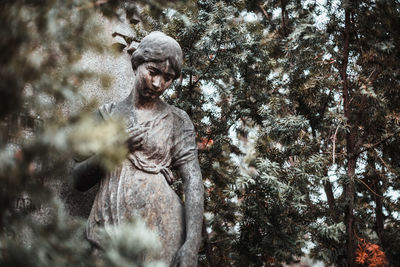 Portrait of man standing against trees