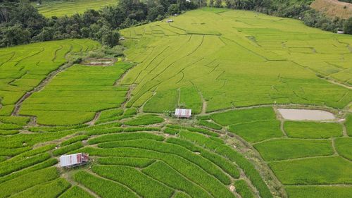 The art of rice terrace