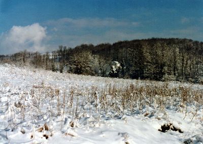 Scenic view of snow covered landscape