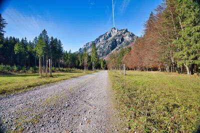 Empty road along trees and plants against sky