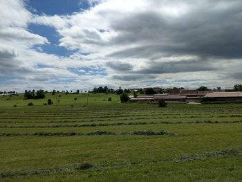 Scenic view of agricultural field against sky